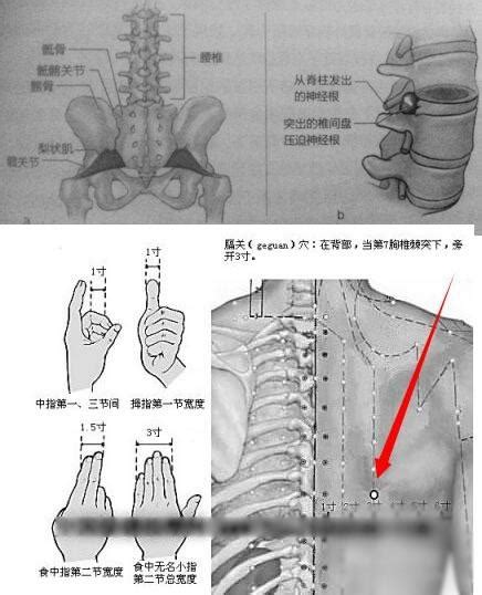 後背位置